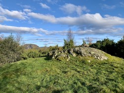 Skansen