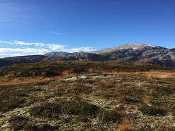 Storlinuten