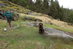 Jeskedalen