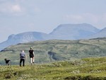 Bjørnen i Bardu