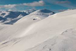 Bjørnavasseten