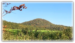 Brennhaugen