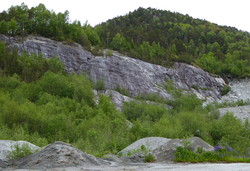 Skorgen klatrefelt