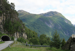 Stavneshornet