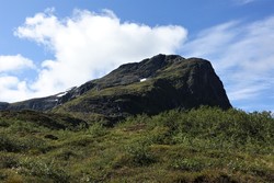 Tverrdalsnipa