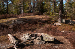 Vikholåsen
