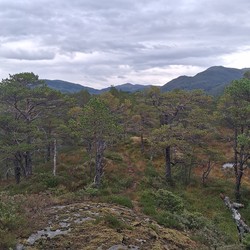 Muladalsåsen