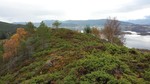 Skulen