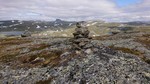 Bekkheldrane