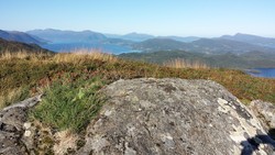 Nyseterhaugen
