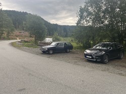 Giskemosaga p-plass