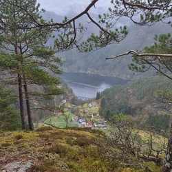Husåsen