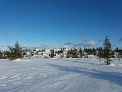 Sætersætershøgda