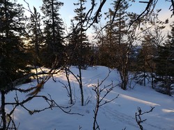 Bergheimkollen