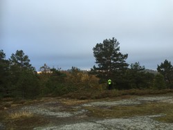 Fredriksro