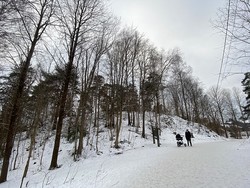 Ymershaugen