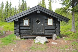 Rauskjørkoia