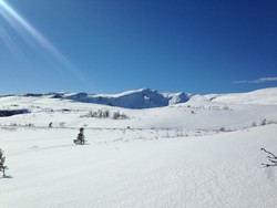 Jørenskardfjellet