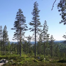 Krongletoppen
