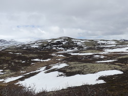 Arnekleivshøe
