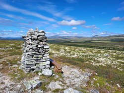 Stakkstolia