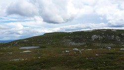Holmtjønnresa