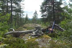 Vestlandsfjellet