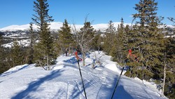 Bjønnliåsen