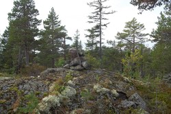 Rudskollen