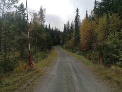 Bomveg Rognliåsen