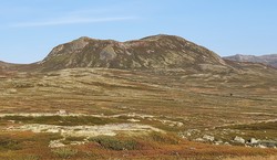 Johovda