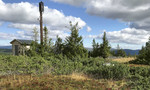 Elgåsen