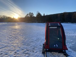 Sognsøya