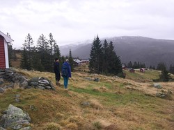 Stokksete