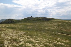 Dusehesten