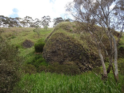Rosette Rock