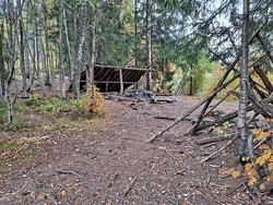 Bælaskogen gapahuk