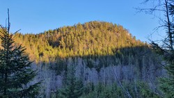 Torgalsås