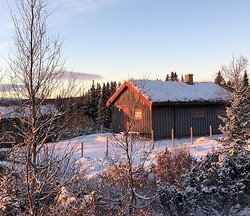 Reinsåshytta