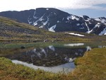 Redotinden