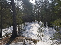 Sør for Stormyr