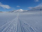 Nesåklumpen