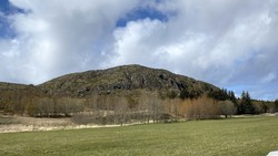 Langhalsberget