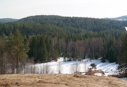 Rudningåsen