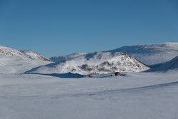 Kolla