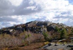 Vardefjell
