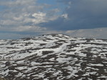 Aust for Steinheinuten