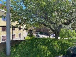 Holmehøgda