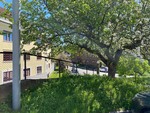 Holmehøgda