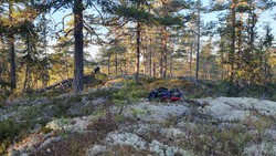 Tretjernshøgda Sør